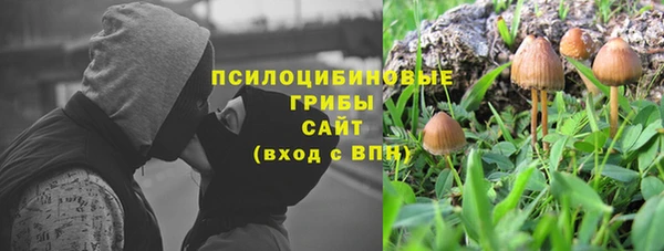 стафф Абинск